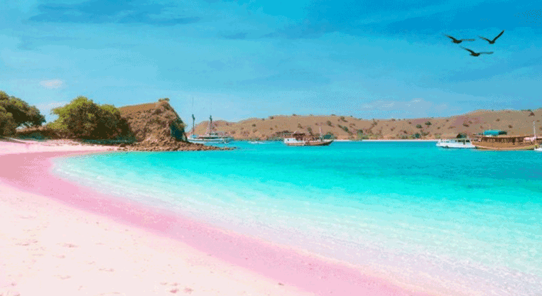 Pantai-Tiga-Warna-Malang